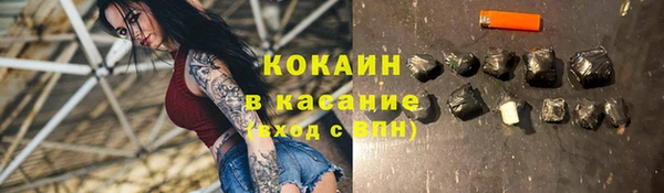 сатива Алзамай