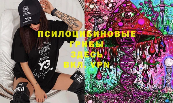 сатива Алзамай