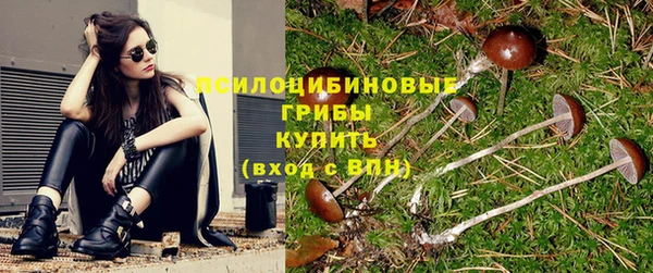 сатива Алзамай