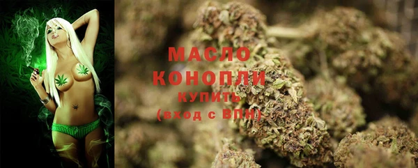 молекула духа Алексеевка