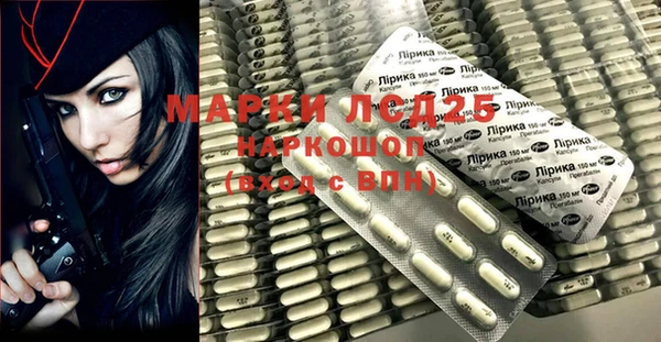 apvp Алексин