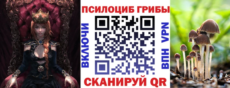 наркотики  Пыталово  Псилоцибиновые грибы ЛСД 