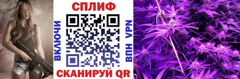 Каннабис индика Пыталово